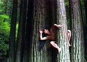 Screen Capture from Embracing Earth - Dances with Nature