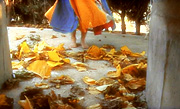 Screen Capture from Ilusiones