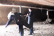 Screen Capture from Icarus Fried