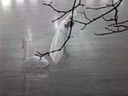 Frame from Thaw Frame from Thaw