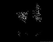 Frame from Vector Paths Frame from Vector Paths
