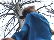 Frame from ALONE Frame from ALONE