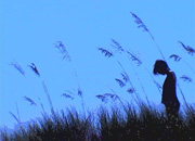 Frame from Song of the Manatee Frame from Song of the Manatee