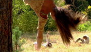 Frame from Of Bodies and Branches